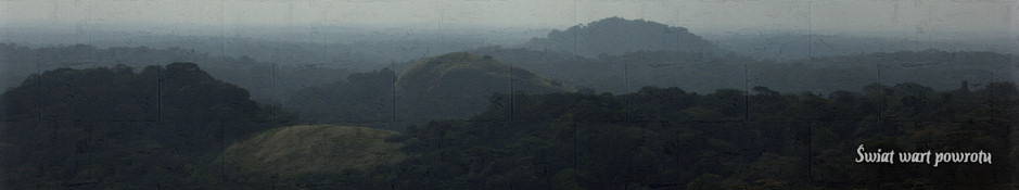 top_2.jpg
